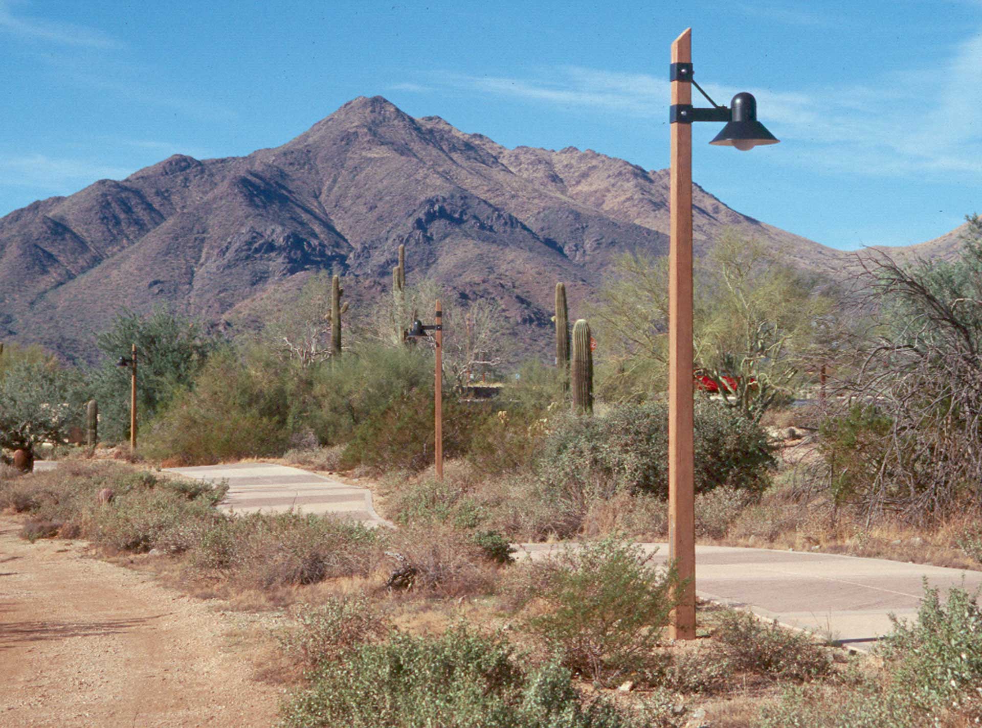 Wood-Grain Poles and Bollards